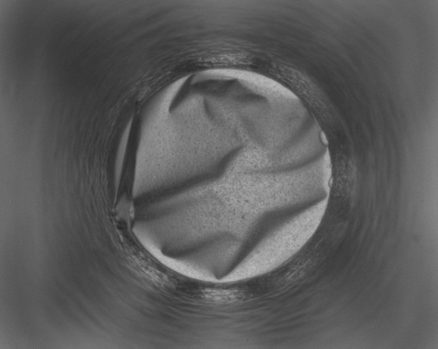 X0000082990457200702230105