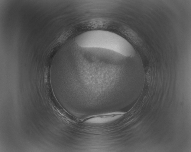 X0000082990458200702230105