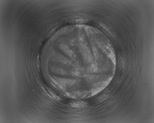 X0000082990459200702230105