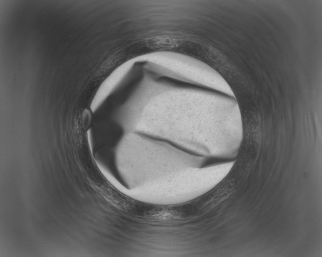 X0000082990460200702230105