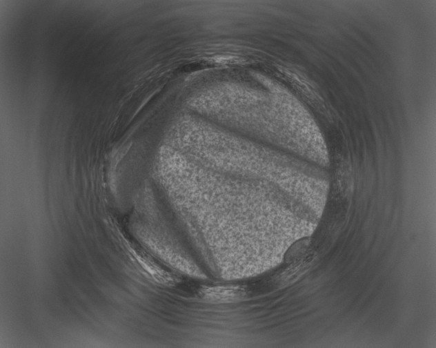 X0000082990461200702230105