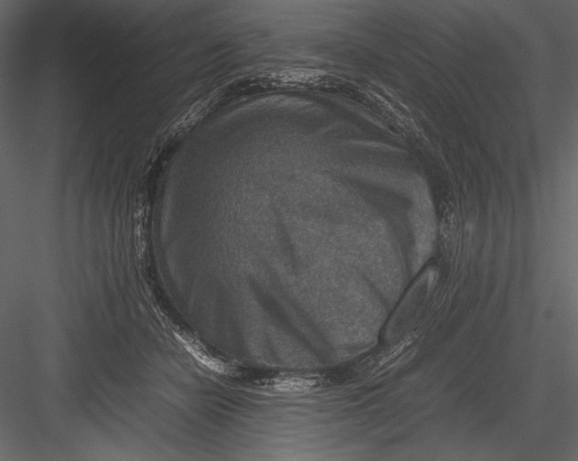 X0000082990462200702230105