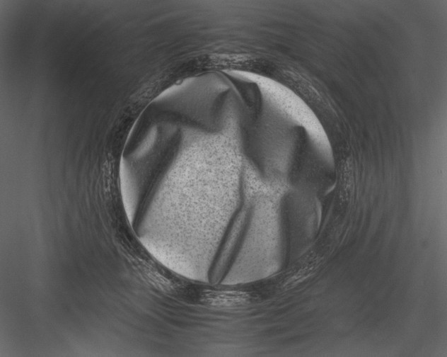 X0000082990463200702230105