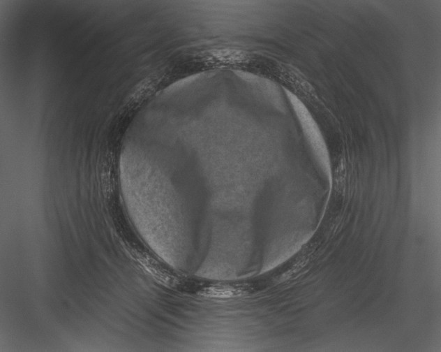 X0000082990464200702230105