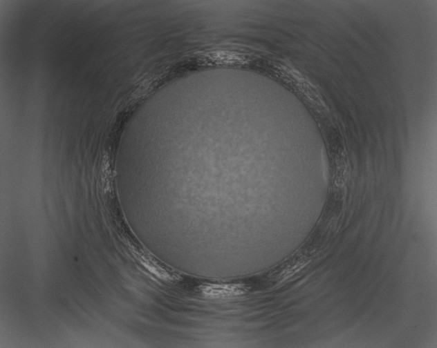 X0000082990465200702230105