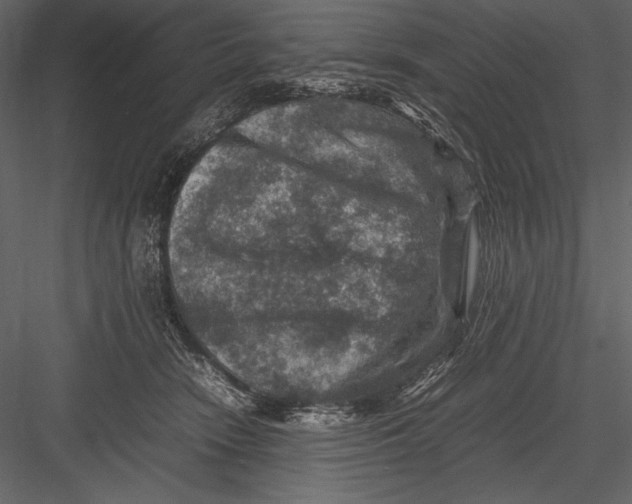 X0000082990466200702230105