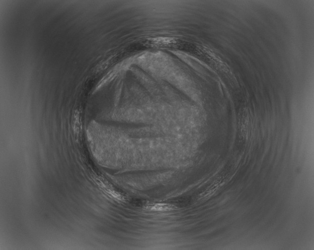 X0000082990467200702230105