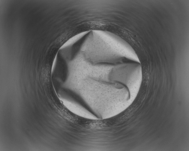 X0000082990468200702230105