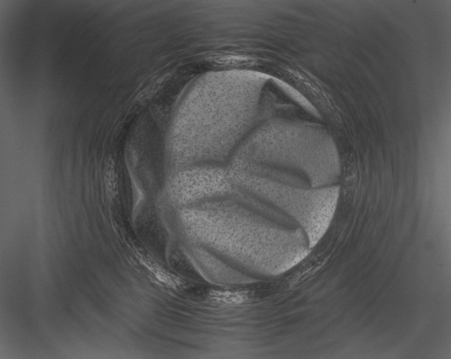 X0000082990469200702230105