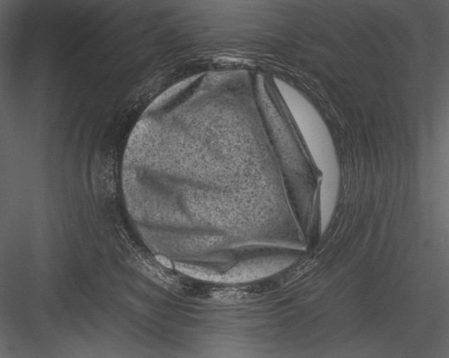 X0000082990470200702230105