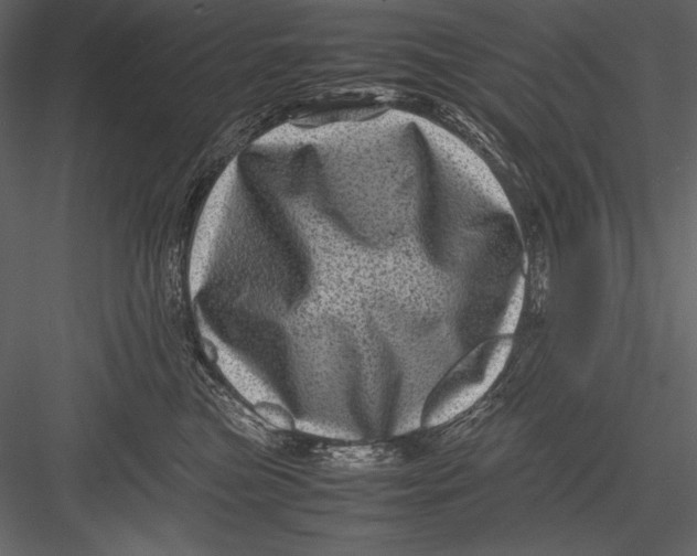 X0000082990473200702230105