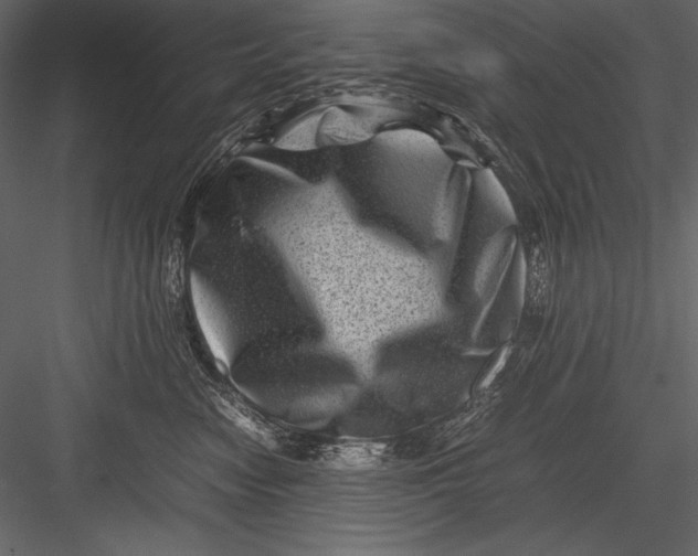 X0000082990474200702230105