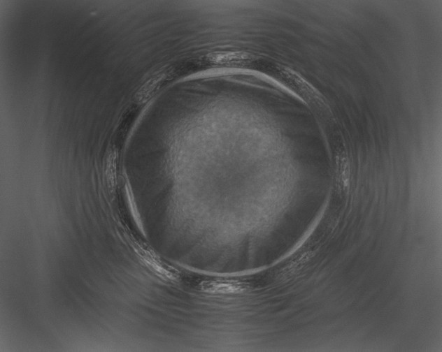 X0000082990475200702230105