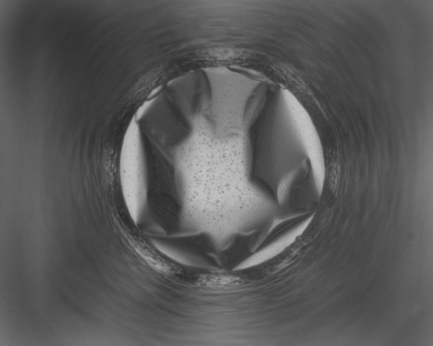 X0000082990476200702230105