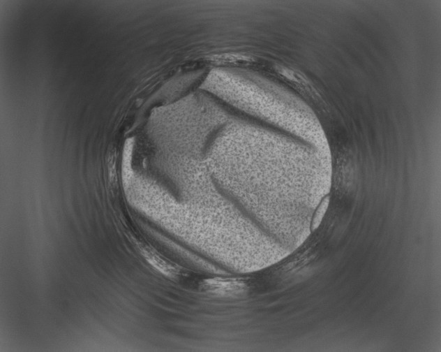 X0000082990477200702230105