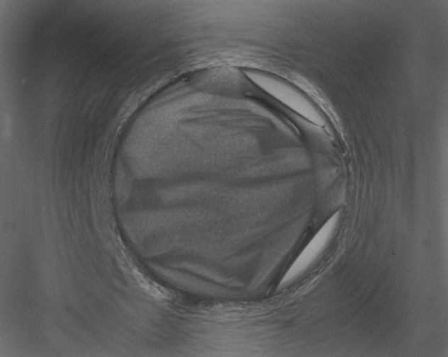 X0000082990481200702230104