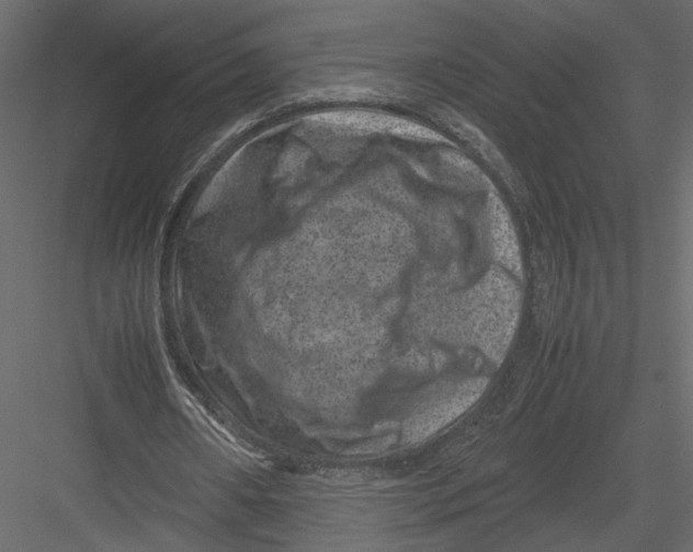 X0000082990482200702230104