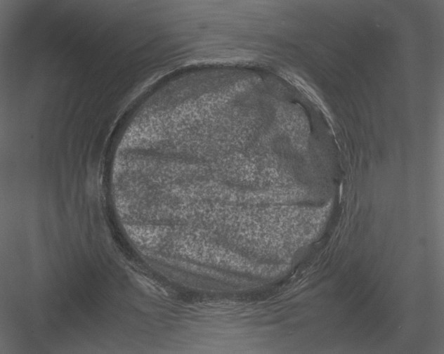 X0000082990483200702230104