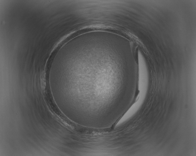 X0000082990484200702230104