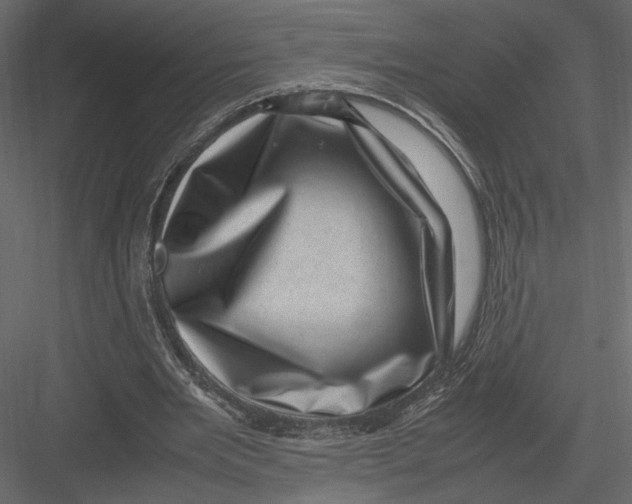 X0000082990485200702230104