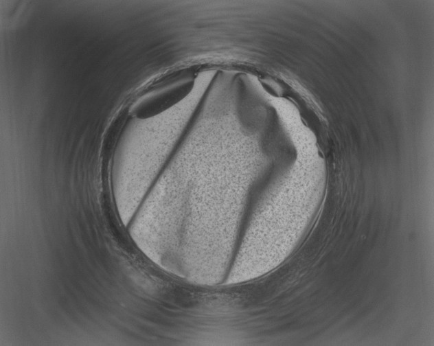 X0000082990486200702230104