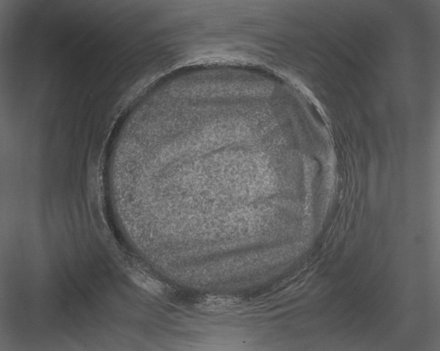 X0000082990487200702230104