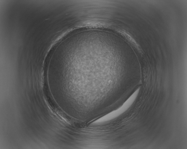 X0000082990488200702230104