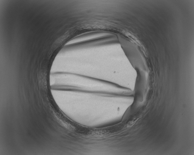 X0000082990489200702230104