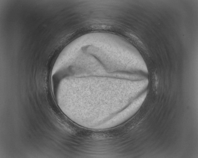 X0000082990490200702230104