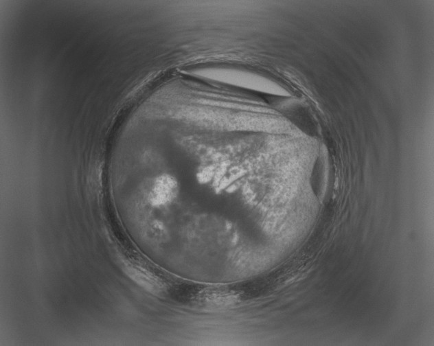 X0000082990491200702230104