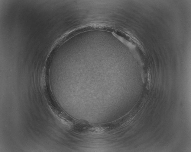 X0000082990492200702230104