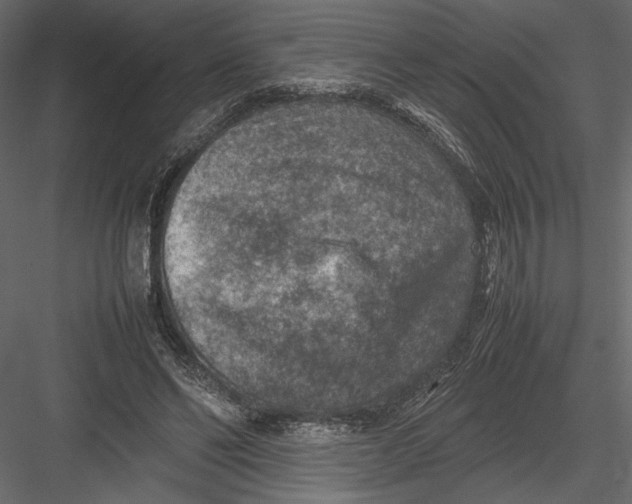 X0000082990494200702230104