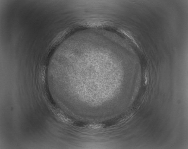 X0000082990495200702230104