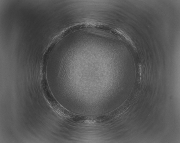 X0000082990496200702230104