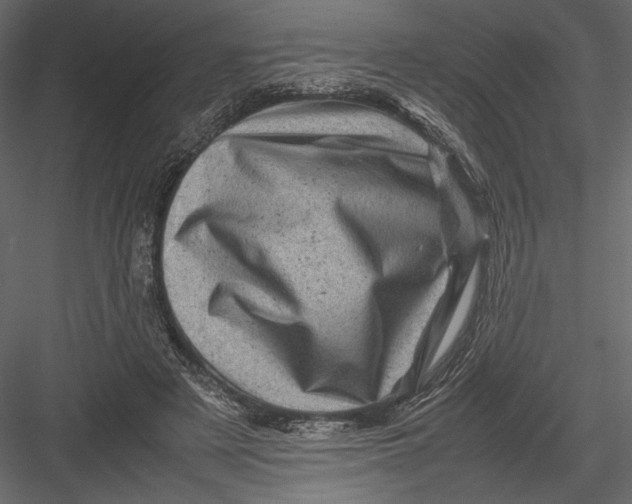 X0000082990497200702230104