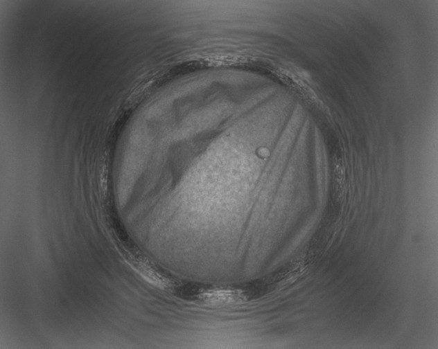 X0000082990499200702230104