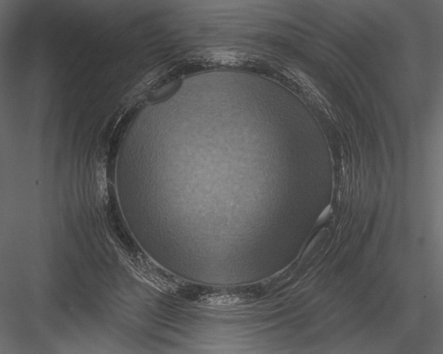 X0000082990500200702230104