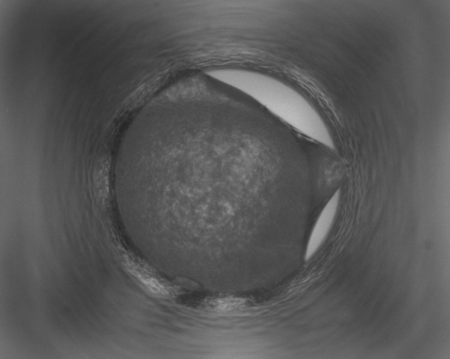 X0000082990501200702230104