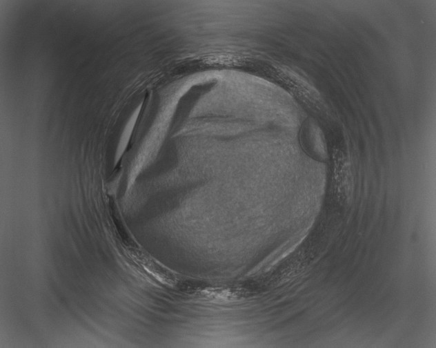 X0000082990502200702230104