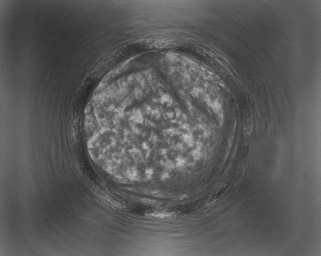 X0000082990503200702230104