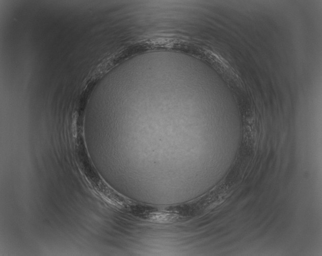 X0000082990504200702230104