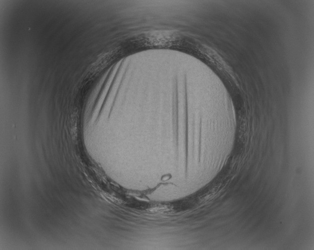 X0000082990505200702230104