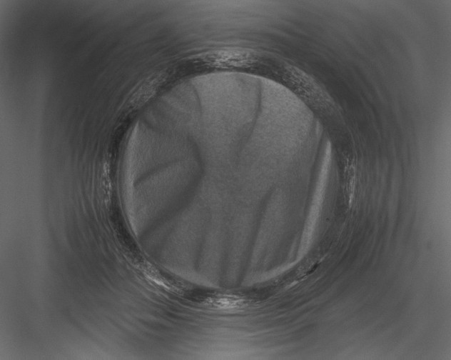 X0000082990506200702230104