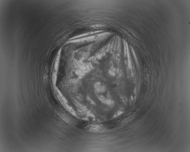 X0000082990507200702230104