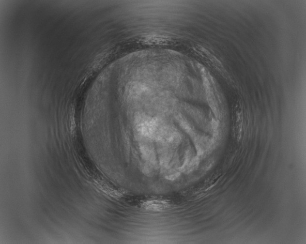 X0000082990508200702230104