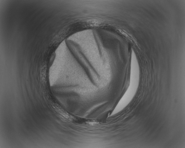 X0000082990509200702230104