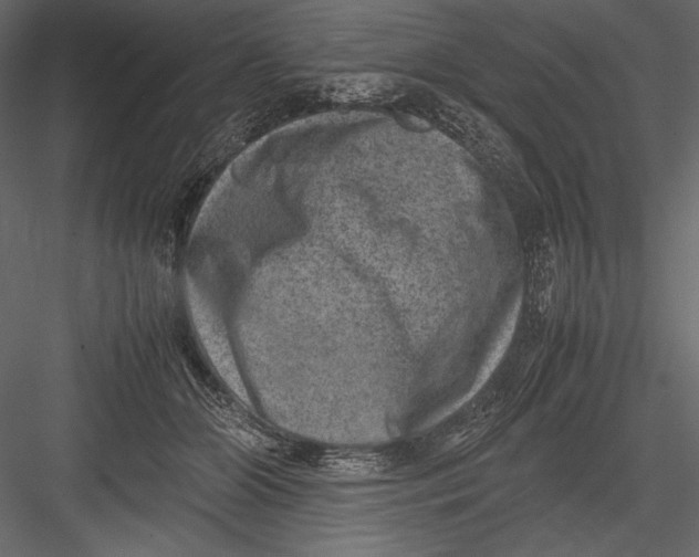 X0000082990510200702230104