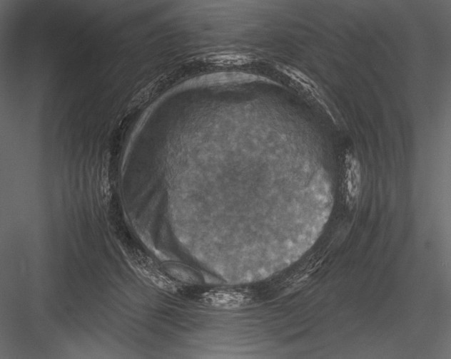 X0000082990512200702230104