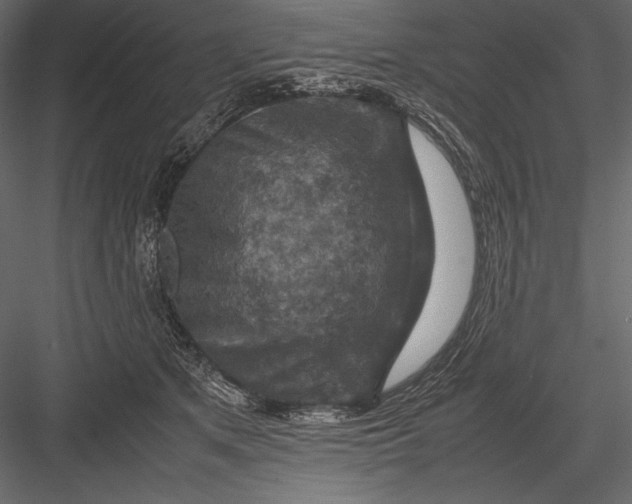 X0000082990513200702230104