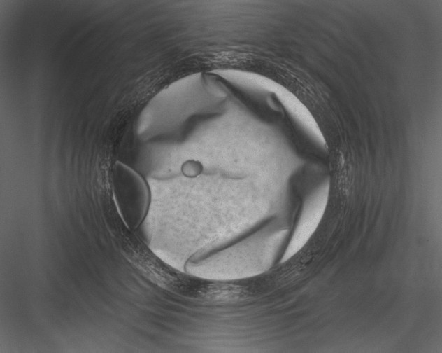 X0000082990514200702230104